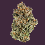 Sherbert OG