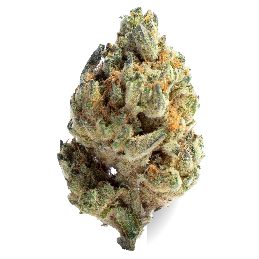 Lemon Pucker