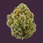 Blue Dream