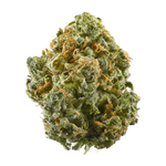 Blue Dream