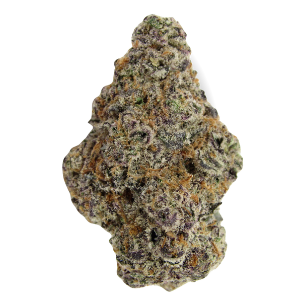 Glitter Bomb