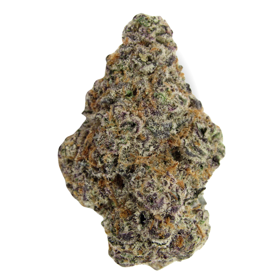 Glitter Bomb