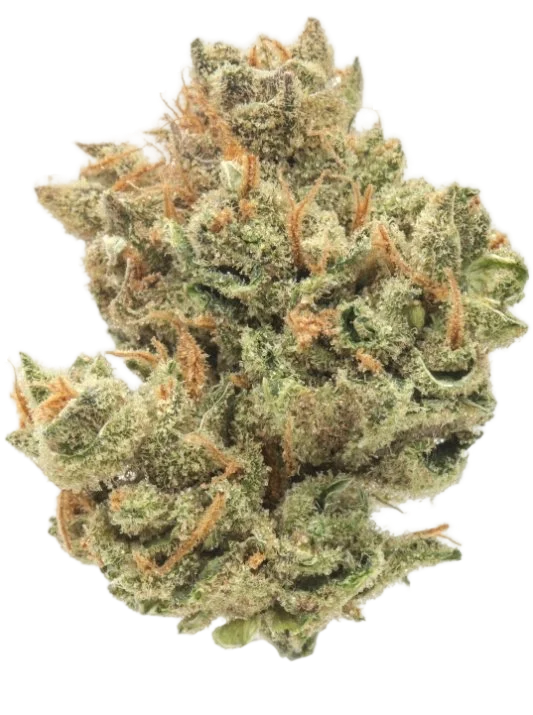 Tropic Lemons