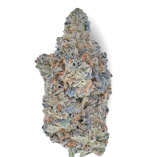 Blue Widow