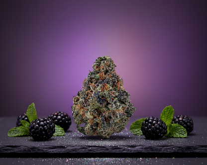 Black Rainbow Sherbet